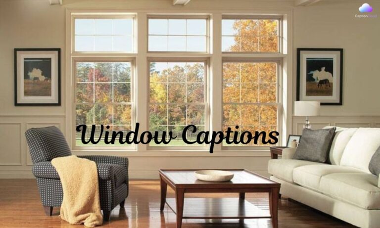 Window Captions